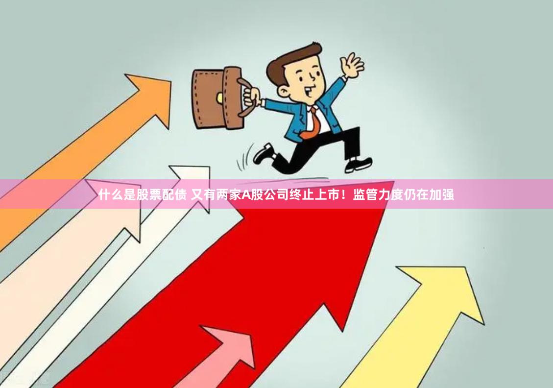 什么是股票配债 又有两家A股公司终止上市！监管力度仍在加强