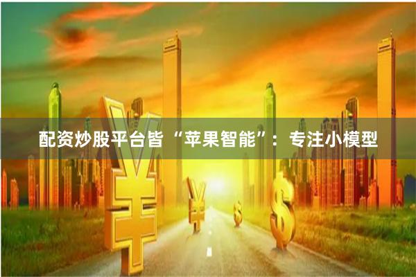 配资炒股平台皆 “苹果智能”：专注小模型