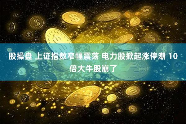 股操盘 上证指数窄幅震荡 电力股掀起涨停潮 10倍大牛股崩了